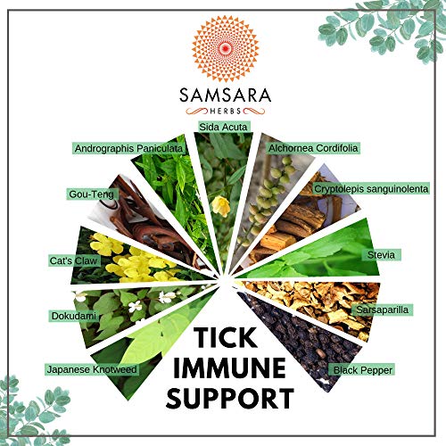 Samsara Herbs Tick Immune Support - The Original Herbal Formula (240 Capsules) - AB Mystery