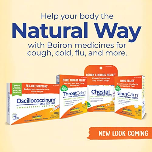 Boiron ThroatCalm On The Go for Pain Relief from Red, Dry, Scratchy, Sore Throats and Hoarseness - AB Mystery