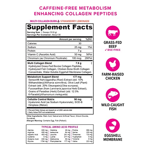 Multi Collagen Burn: Multi-Type Hydrolyzed Collagen Protein Peptides with Hyaluronic Acid - AB Mystery