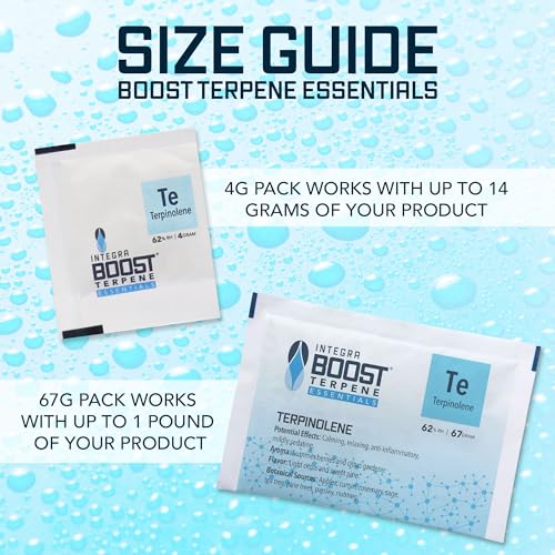 Integra Boost - Terpinolene Infusion - 4 Gram Terpene Essentials Two-Way Humidity Control at 62 Percent RH - AB Mystery