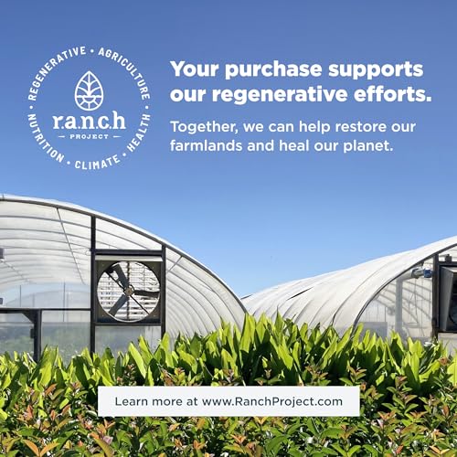 Ancient Nutrition Supergreens Powder, Organic Superfood Powder with Collagen - AB Mystery