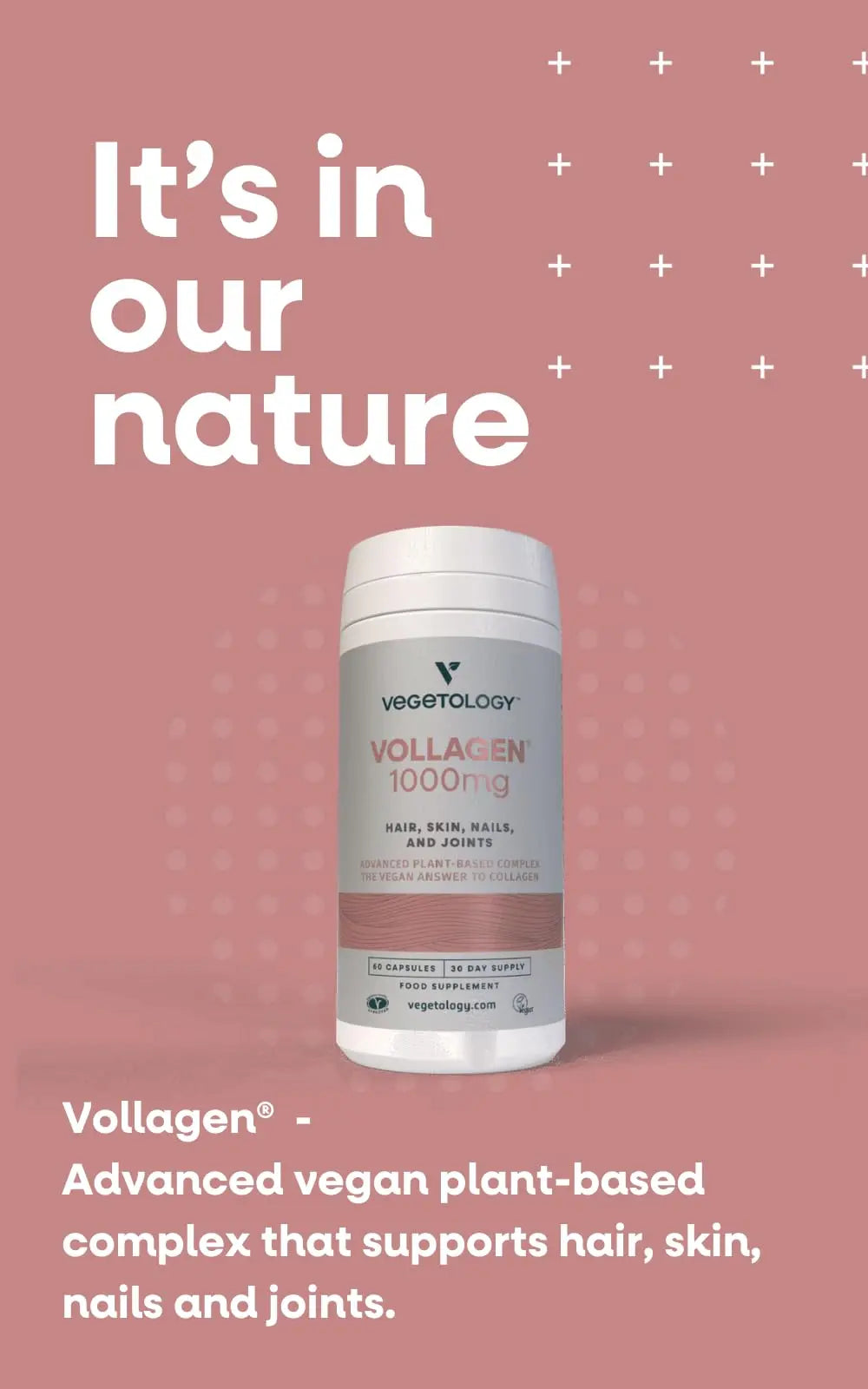 Vegetology Vollagen® Plant Based Complex – Plant Based Protein Alternative to Collagen - AB Mystery