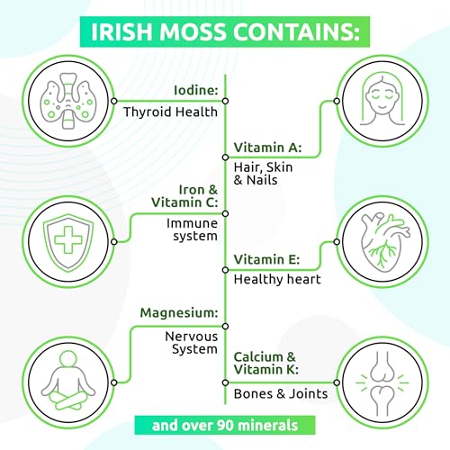 TrueSeaMoss Wildcrafted Irish Sea Moss Gel – Nutritious Raw Seamoss Rich in Minerals - AB Mystery