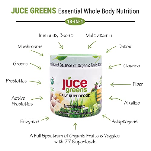 Terra Kai Organics JUCE Green Superfood Powder, Organic Fruits and Veggies Supplement - AB Mystery