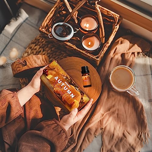 Autumn Fragrance Oil Set, Premium Fall Essential Oils for Diffuser and Candle Making -Cinnamon - AB Mystery