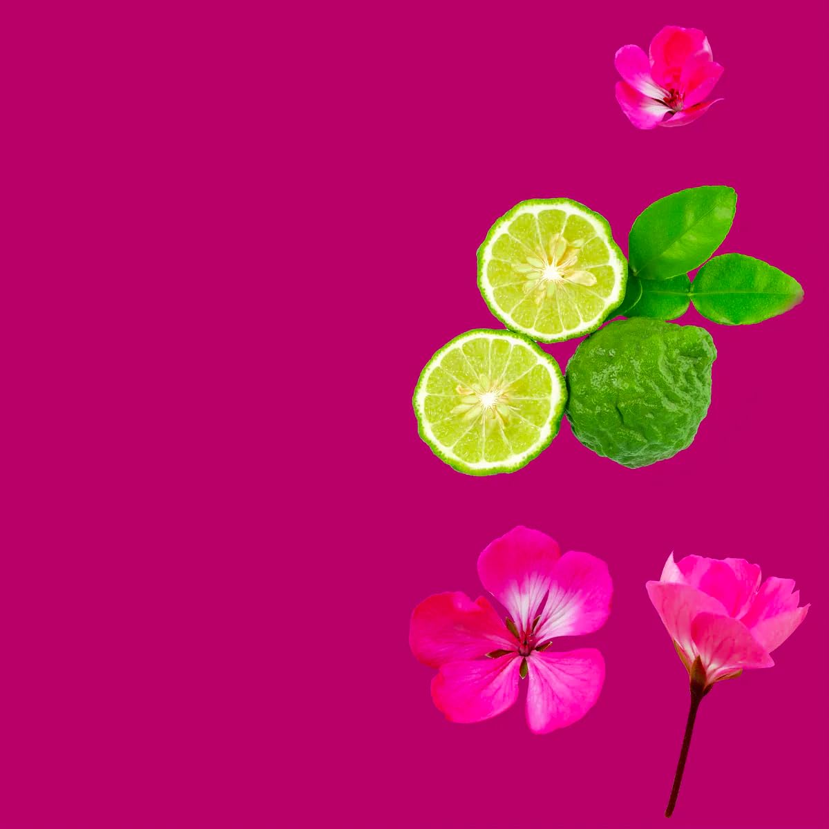 VINEVIDA [4 Fl Oz] Scent NO. 3300 Fragrance Oil for Cold Air Diffusers, Aromatic Notes of Bergamot - AB Mystery