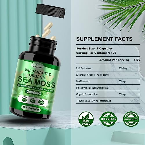 Fleamart 2 Pack Irish Sea Moss Capsules 120ct Raw Organic Sea Moss Wildcrafted Bladder - AB Mystery