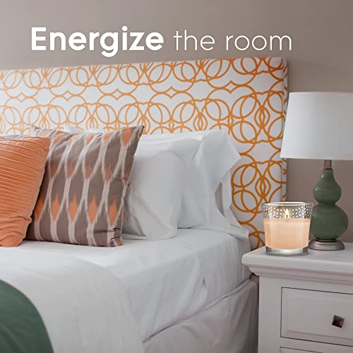 Glade Candle Jar, Air Freshener, Vanilla Caramel Twist, 3.4 oz, 2 Count - AB Mystery