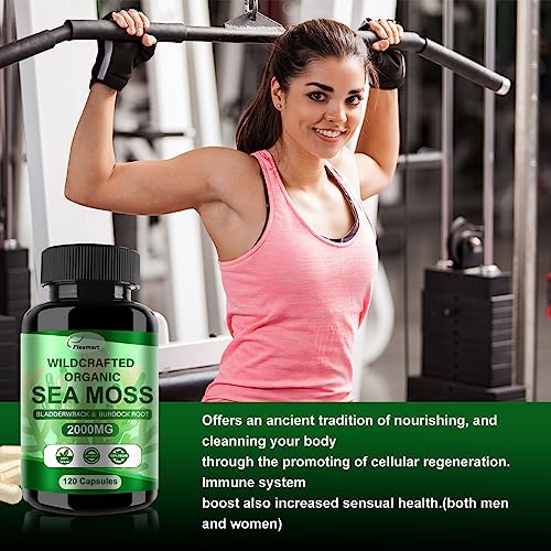 Fleamart 2 Pack Irish Sea Moss Capsules 120ct Raw Organic Sea Moss Wildcrafted Bladder - AB Mystery