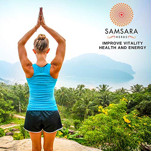 Samsara Herbs Tick Immune Support - The Original Herbal Formula (240 Capsules) - AB Mystery