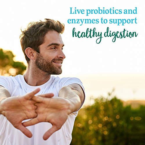 Garden of Life Perfect Food Super Green Formula - 14 Servings | 45 Superfoods, Greens - AB Mystery