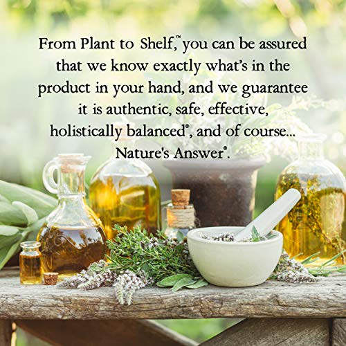 Nature's Answer Alcohol-Free Red Clover Extract Supplement, 1-Fluid Ounce - AB Mystery