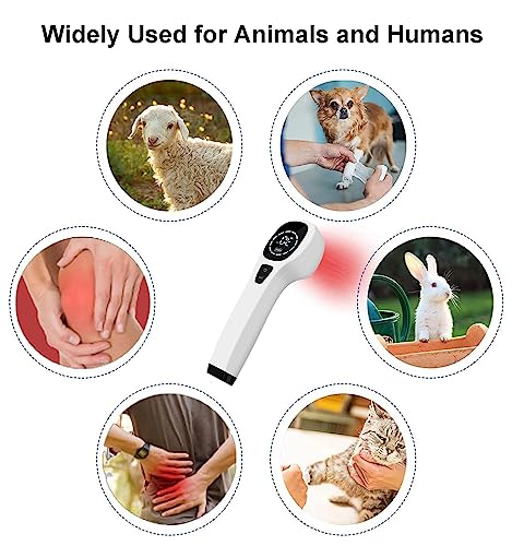 iKeener Handheld Light Therapy for Pain Relief,Portable Low-Level Light Therapy for Dogs and Humans - AB Mystery