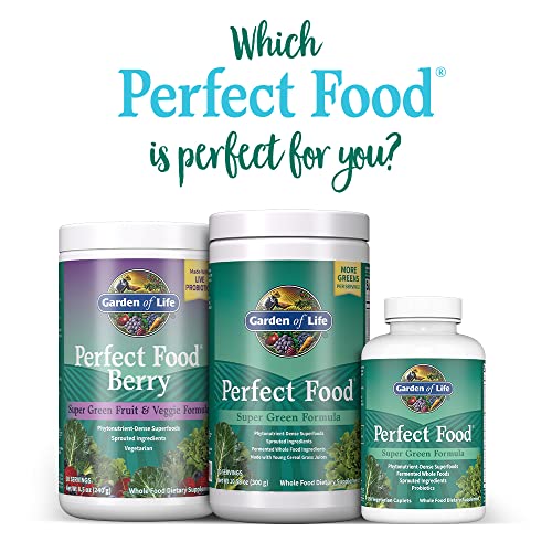 Garden of Life Perfect Food Super Green Formula - 14 Servings | 45 Superfoods, Greens - AB Mystery