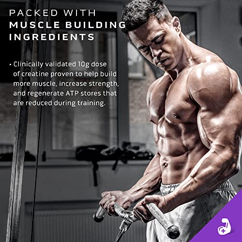 MuscleTech Mass Gainer Protein Powder, Mass-Tech Extreme 2000, Muscle Builder - AB Mystery