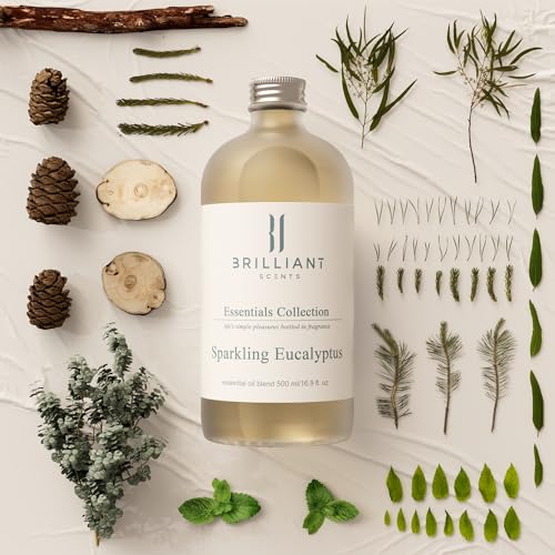Brilliant Scents - Sparkling Eucalyptus | Luxury Home & Business Scent | Fragrance Oil - 500ml - AB Mystery