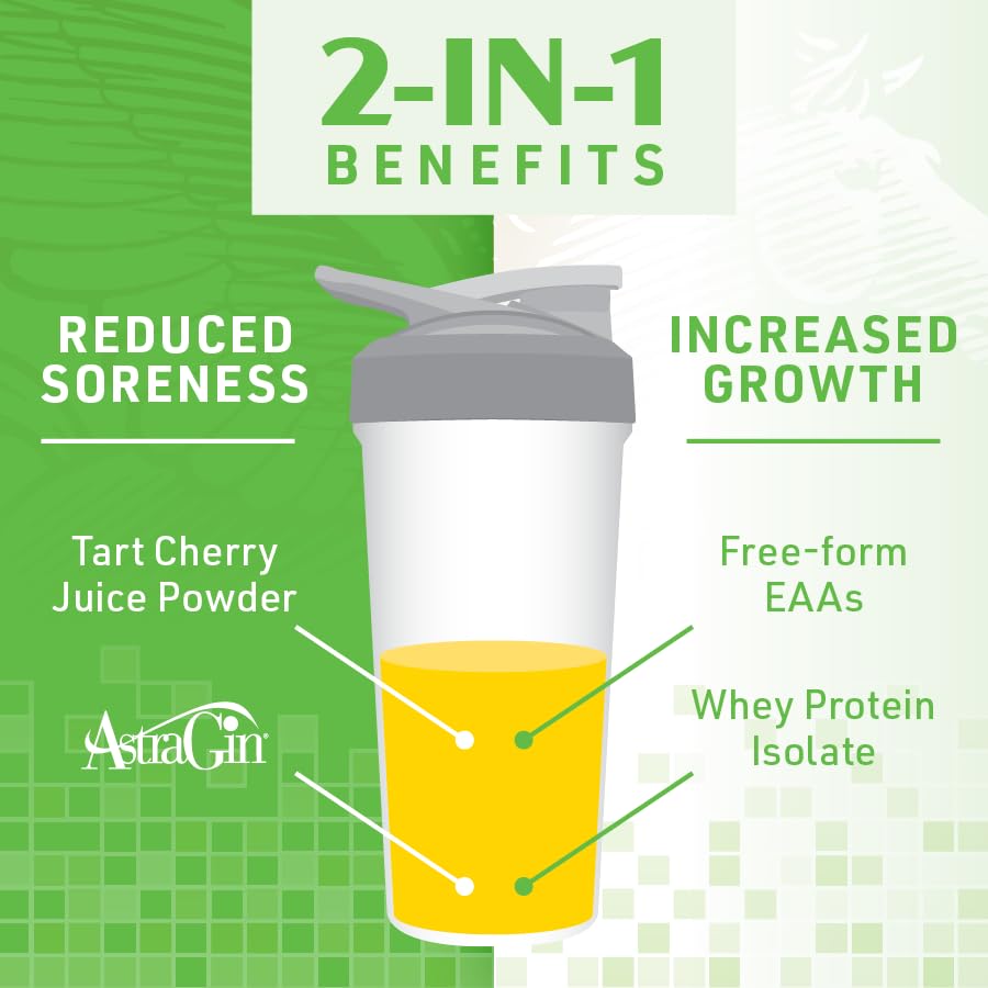 SHIFTED Whey Protein Isolate Protein Powder Post Workout Recovery Drink Mix - AB Mystery