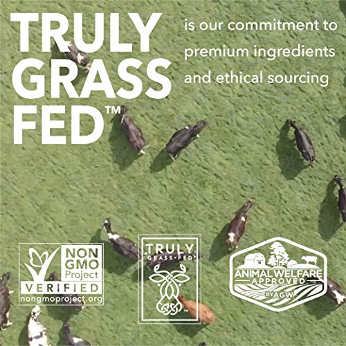 ICONIC Protein Powder, Chocolate Truffle - Sugar Free, Low Carb Protein Powder - AB Mystery