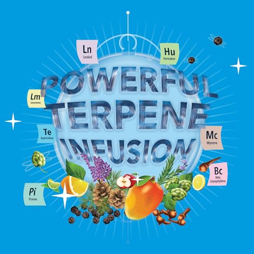 Integra Boost - Terpinolene Infusion - 4 Gram Terpene Essentials Two-Way Humidity Control at 62 Percent RH - AB Mystery