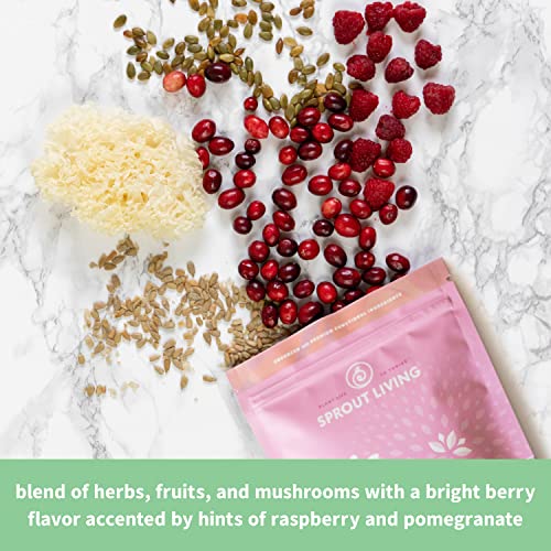 Sprout Living Epic Protein, Plant Based Protein & Superfoods Powder, Pro Collagen, - AB Mystery