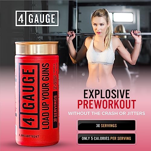 4 Gauge Natural Preworkout Without The Jitters | 30 Servings | Nitric Oxide Booster - AB Mystery