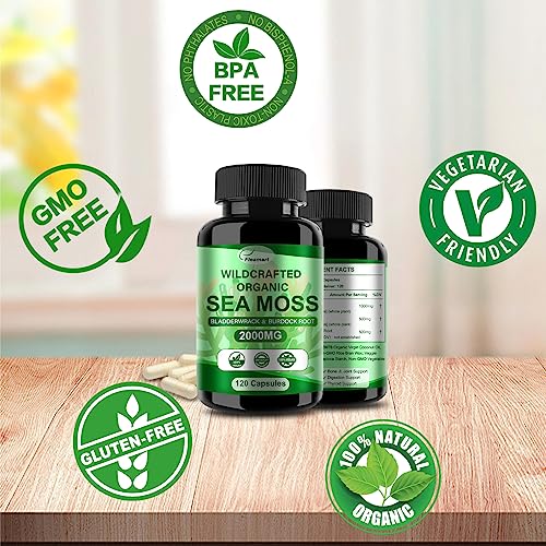 Fleamart 2 Pack Irish Sea Moss Capsules 120ct Raw Organic Sea Moss Wildcrafted Bladder - AB Mystery