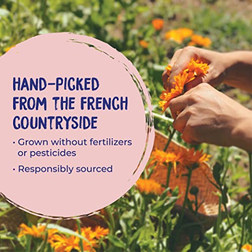 Boiron Calendula Cream for First Aid, Minor Burns, Cuts, Scrapes, Insect Bits and Sunburn - 2.5 oz - AB Mystery