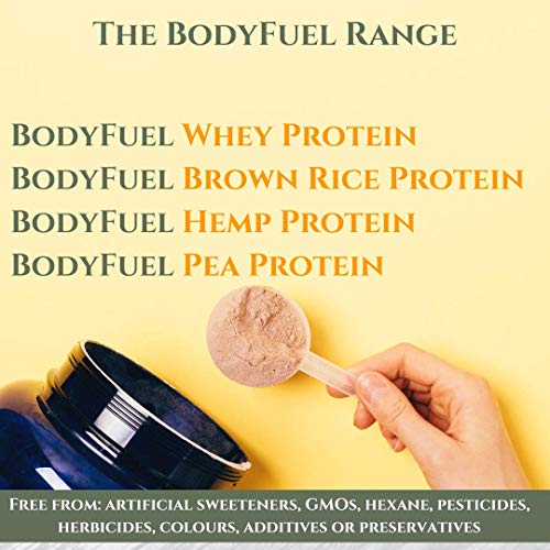 Complementary Supplements - BodyFuel Whey Protein Isolate & Concentrate Vanilla Flavour Complementary Supplements