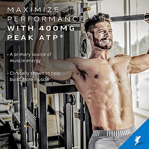 Creatine Powder | MuscleTech Cell-Tech Elite Creatine Powder | Post Workout Recovery - AB Mystery