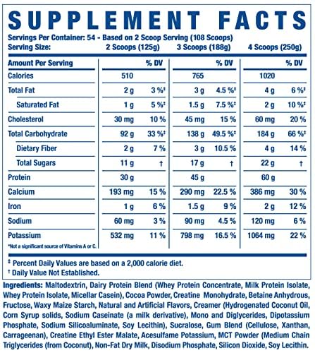 Ronnie Coleman Signature Series King Mass XL Mass Gainer Protein Powder, Muscle Gainer - AB Mystery