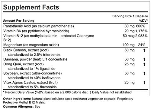 ANDREW LESSMAN Positive Passage 60 Capsules – Natural Menopausal Support and Balance - AB Mystery