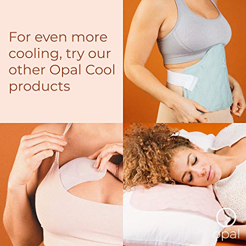 Opal Cool Wrap - Mist; Cool Pack Therapy for Hot Flashes, Night Sweats & MS; Refrigerated Wrap … - AB Mystery