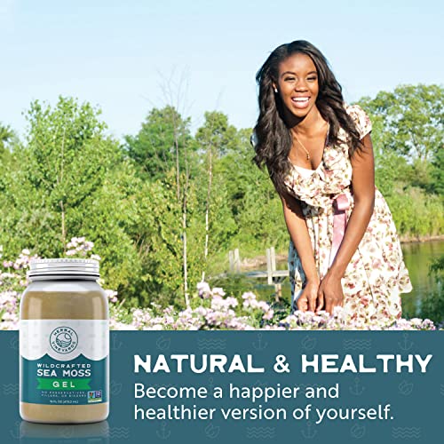 Herbal Vineyards Natural Organic Wildcrafted Gold Raw Sea Moss Gel for Immune Support - AB Mystery