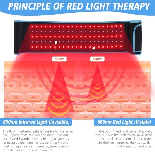 Red Light Therapy Near Infrared Light Therapy Wrap Belt for Body with Timer for Waist Back Shoulder - AB Mystery