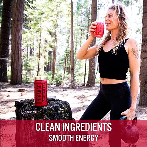 4 Gauge Natural Preworkout Without The Jitters | 30 Servings | Nitric Oxide Booster - AB Mystery