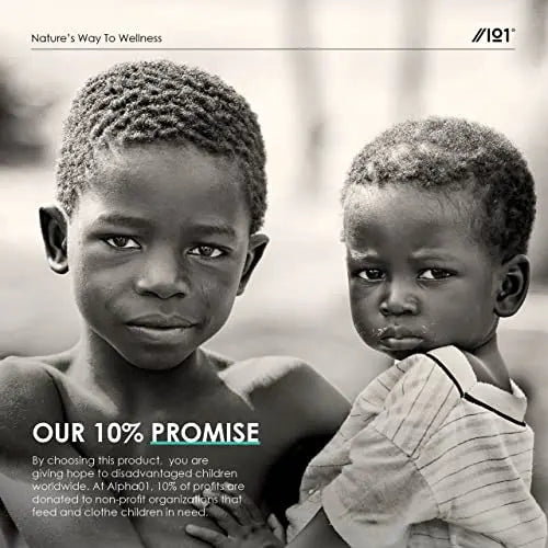 Multi Collagen Protein - Types I, II, III, V & X - Wild Caught Marine, Grass Fed Bovine, Eggshell - AB Mystery