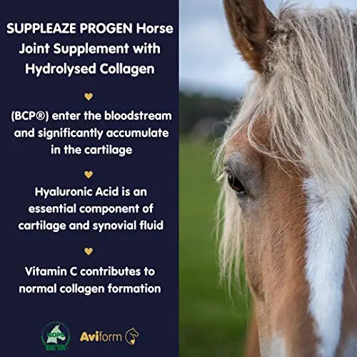 Aviform SUPPLEAZE PROGEN Horse Joint Supplement with Hydrolysed Collagen 1kg - AB Mystery