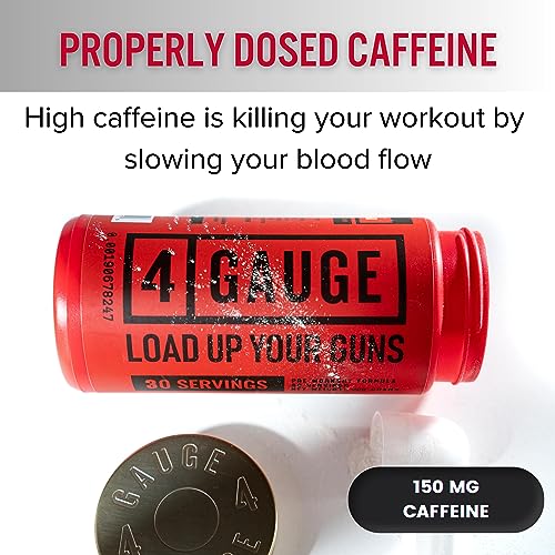 4 Gauge Natural Preworkout Without The Jitters | 30 Servings | Nitric Oxide Booster - AB Mystery