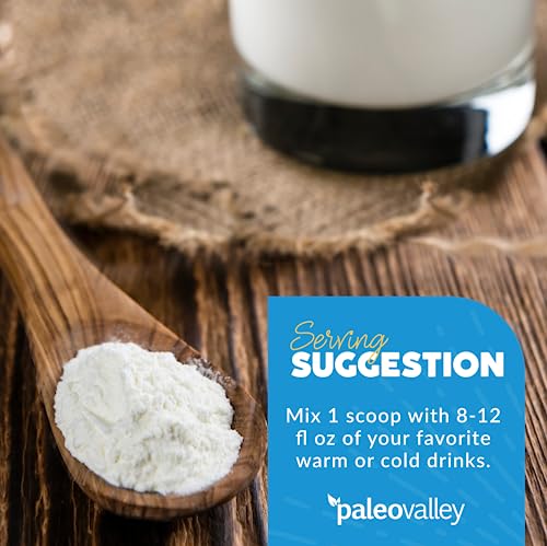 Paleovalley 100% Grass Fed Bone Broth Protein Powder - Vanilla - Rich in Collagen for Hair - AB Mystery