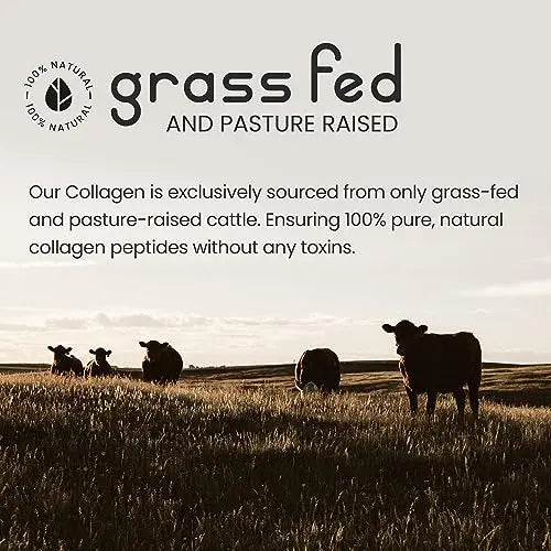 Bovine Collagen Peptides Powder 500g - 50 Servings - 100% Pure, Hydrolysed, Type 1 & 3-19 Amino Acids VitaBright