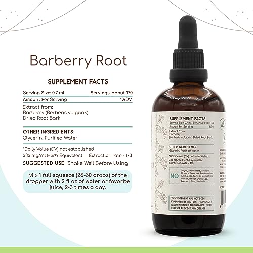Barberry Root B120 Alcohol-Free Herbal Extract Tincture, Concentrated Liquid Drops Natural Barberry - AB Mystery