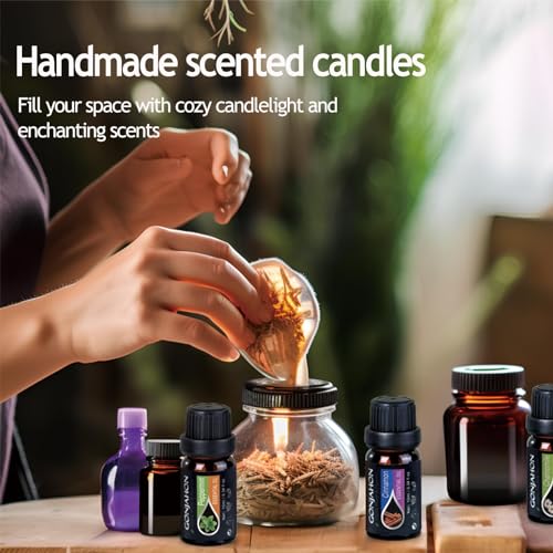 KMSCO Essential Oils Set -Top 16(0.33Fl Oz) Organic Plant Natural Fragrance Scents Blends Oil - AB Mystery