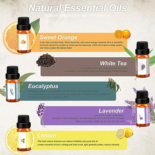 Mushroom Humidifier with Essential Oils, Night Light with 7 Changing Colors, Desk Cloud Lights - AB Mystery