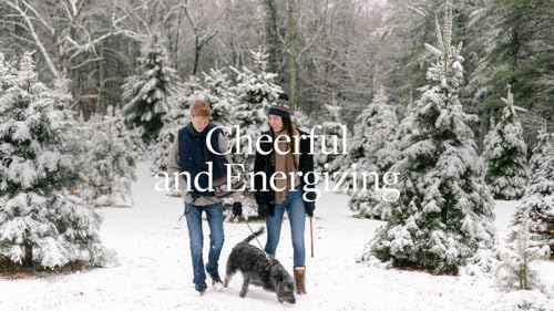 Aera Majestic Fir Home Fragrance Scent Refill - Notes of Fir and Juniper - Works with The Aera Diffuser - AB Mystery