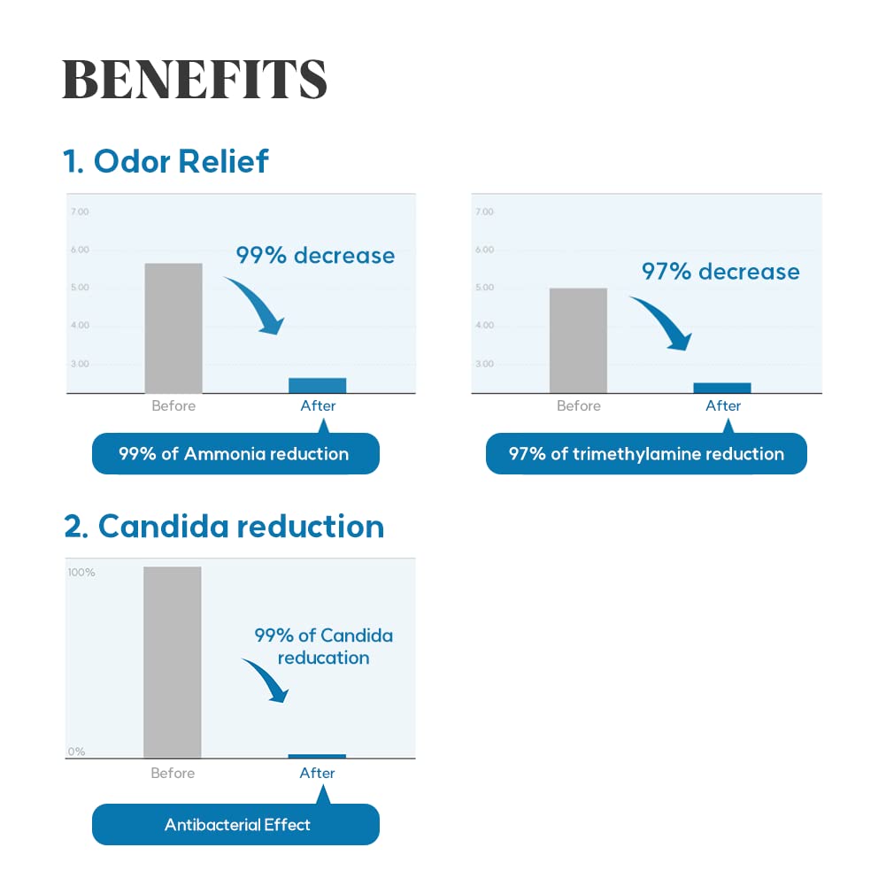 LACTOMEDI Feminine Foaming Wash | Gentle Foam Cleanser for Intimate Hygiene | pH-Balanced Formula - AB Mystery