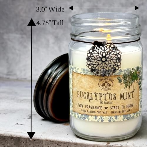 Scented Candle for Home by Way Out West Candles - Long Lasting Home Fragrance or Essential Oils - AB Mystery