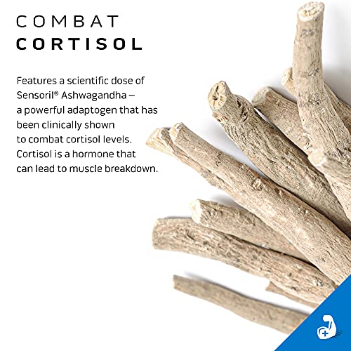 Creatine Powder | MuscleTech Cell-Tech Elite Creatine Powder | Post Workout Recovery - AB Mystery