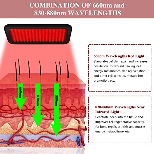 Red Light Therapy Belt, Infrared Light Therapy Wrap Red Light Therapy Device for Body, Pain Relief - AB Mystery
