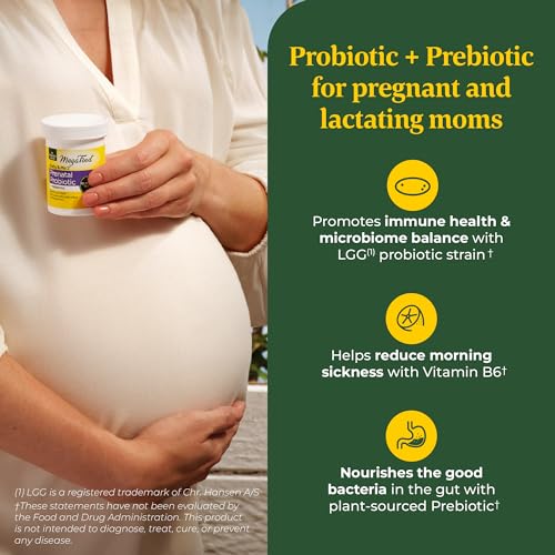 MegaFood Baby & Me 2 Prenatal Probiotic - Vegetarian Pregnancy Prebiotics and Probiotics MegaFood