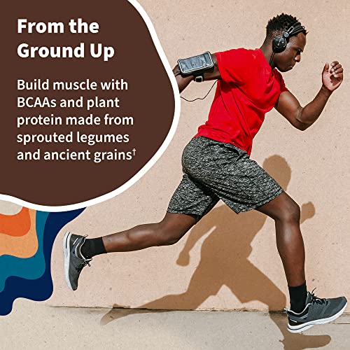 Garden of Life Vegan Protein Powder - 22g Raw Plant Protein, BCAAs, Probiotics - AB Mystery